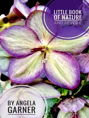 cover image of Little Book of Nature and Reverie